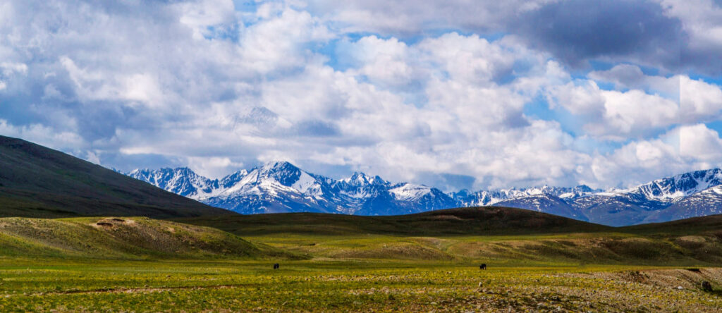 Deosai National Park