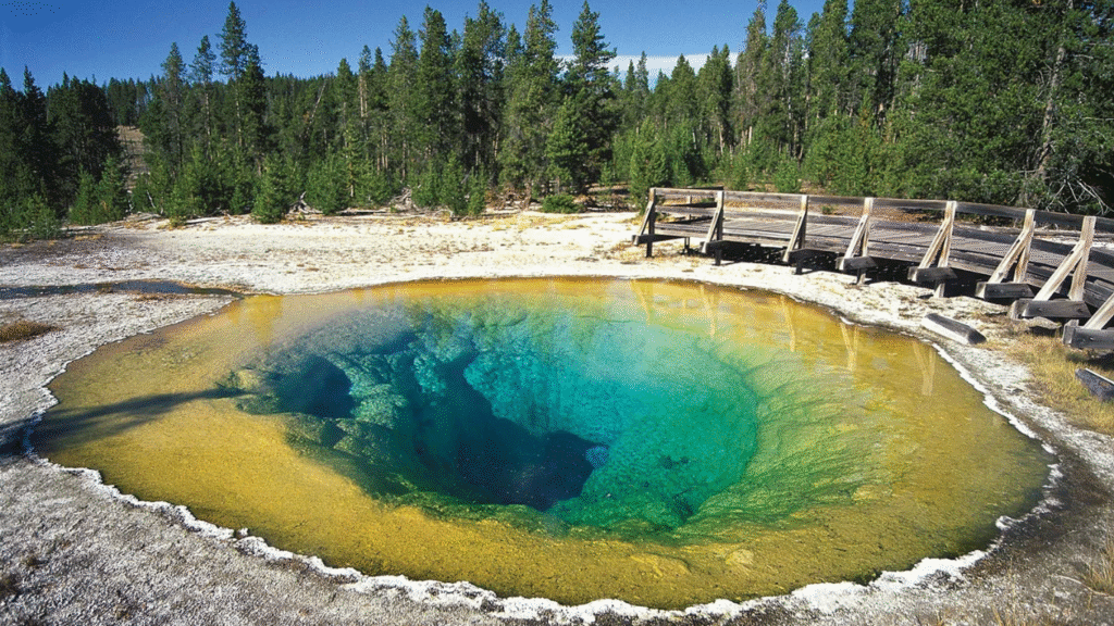 Yellowstone National Park